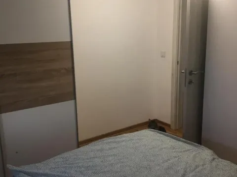 Izdavanje, trosoban stan, 60m², Voždovac Sve Podlokacije, Beograd - image 2