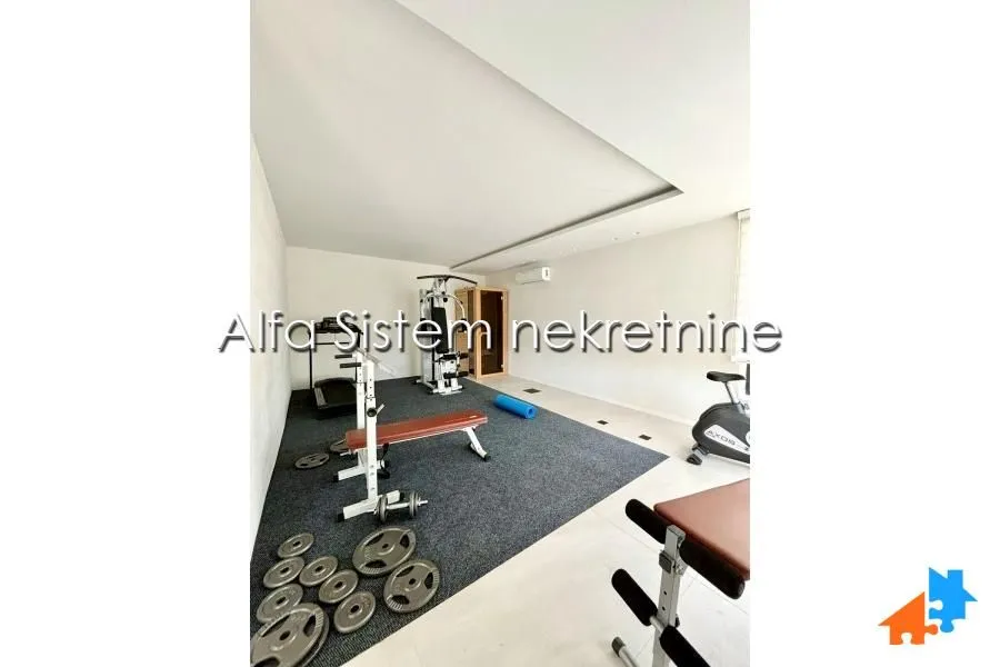 Izdavanje, stan, 200m², Senjak, Beograd