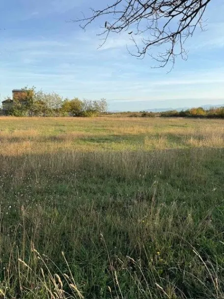 Prodaja, plac, 4929m², Golubovci, Podgorica