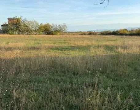 Zemljište in Golubovci