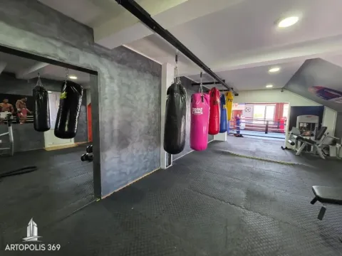 Interior of the gym with punching bags and exercise equipment. - image 10