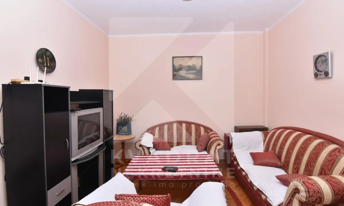 Rent, one bedroom apartment, 53m², Zagorič, Podgorica