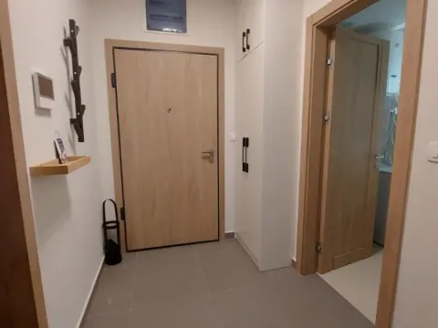 Izdavanje, jednosoban stan, 55m², Master Kvart, Podgorica - image 6