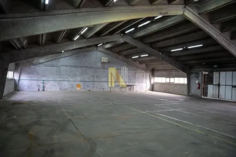 Rent, office space, 759m², Salajka, Novi Sad Sve Podlokacije - image 3
