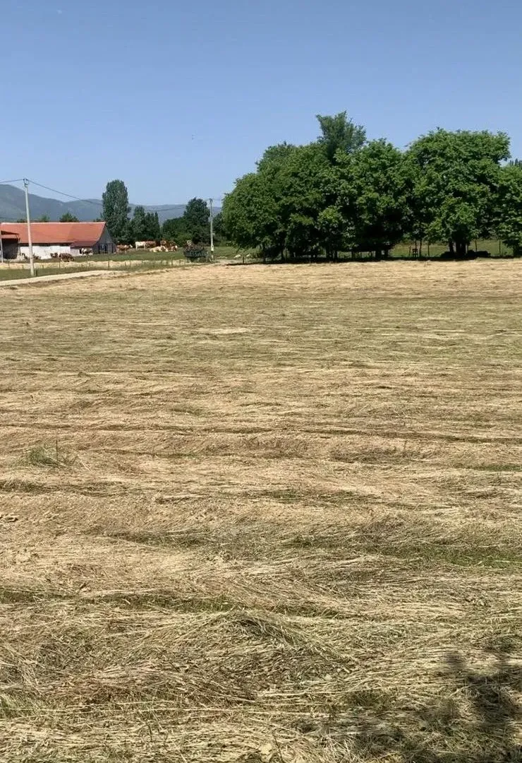 Prodaja, plac, 4650m², Podgorica, Crna Gora