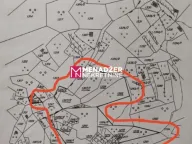 Sale, land lot, 30000m², Piperi, Podgorica - image 4