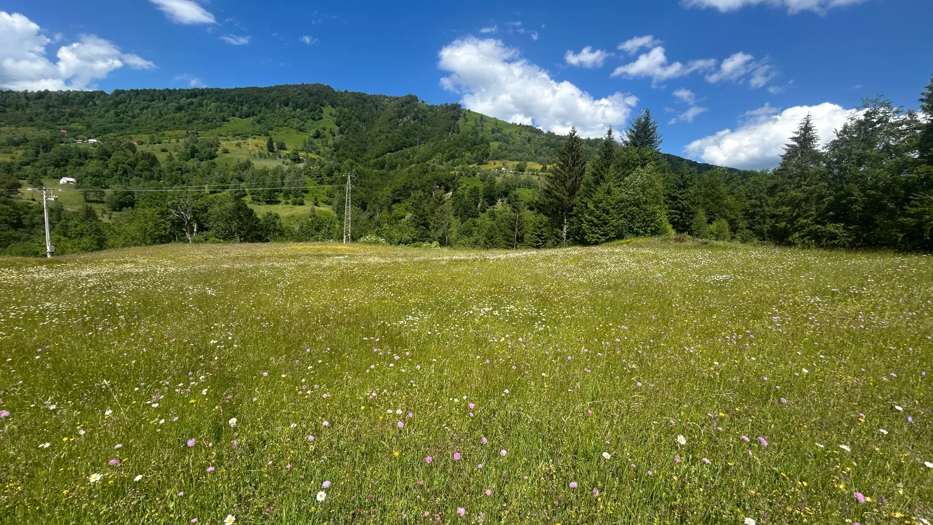 Prodaja, plac, 62500m², Bare, Kolašin