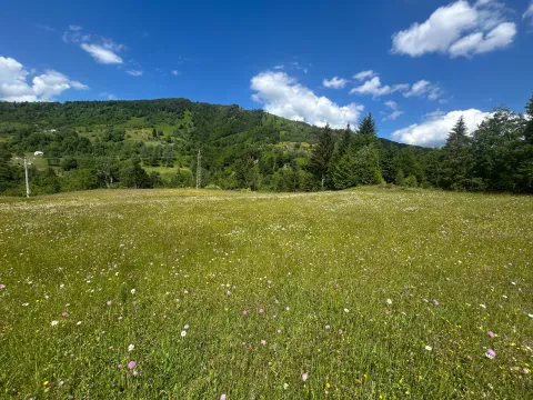 Prodaja, plac, 62500m², Bare, Kolašin - image 2