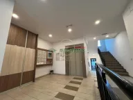 Izdavanje, dvosoban stan, 45m², Nova Detelinara, Novi Sad Sve Podlokacije - image 16