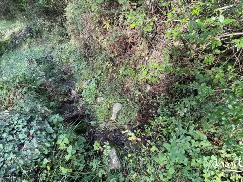 Prodaja, plac, 350m², Kavač, Kotor - image 4