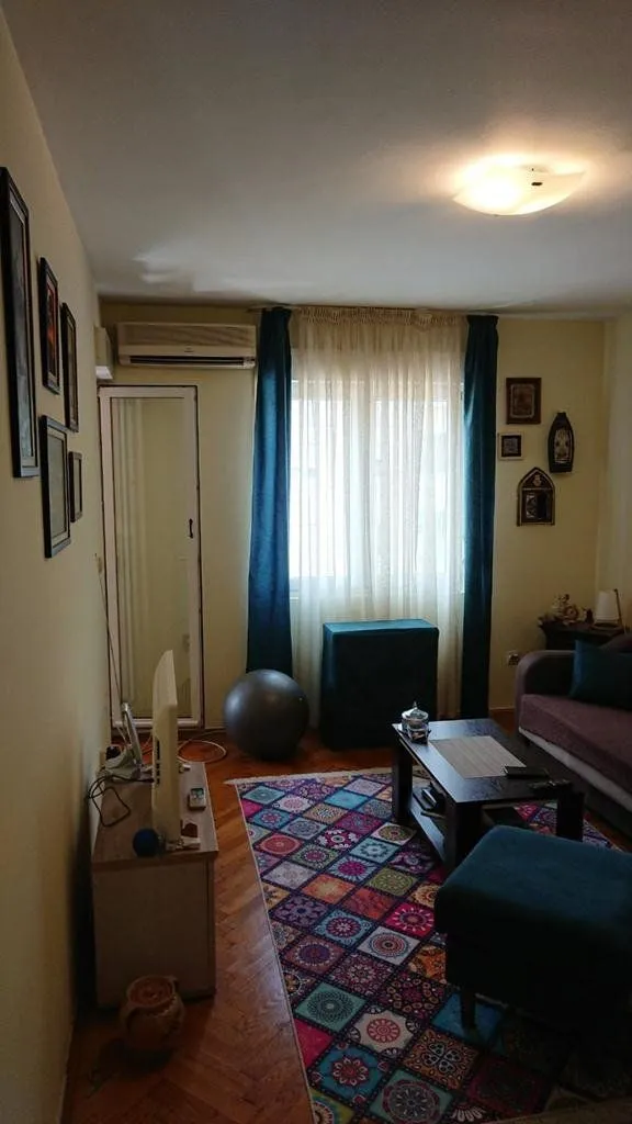 Living room with a sofa, coffee table, and a colorful rug.
