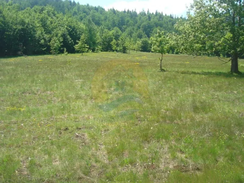 Prodaja, plac, 105000m², Plužine, Crna Gora