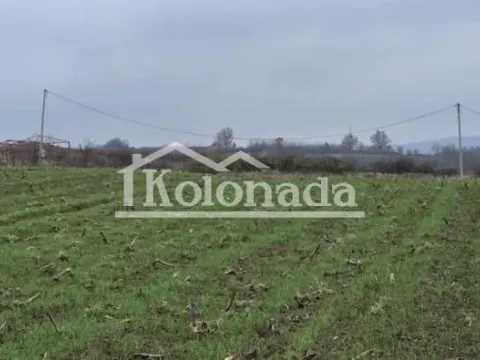 Sale, land lot, 6000m², Sopot, Beograd - image 4