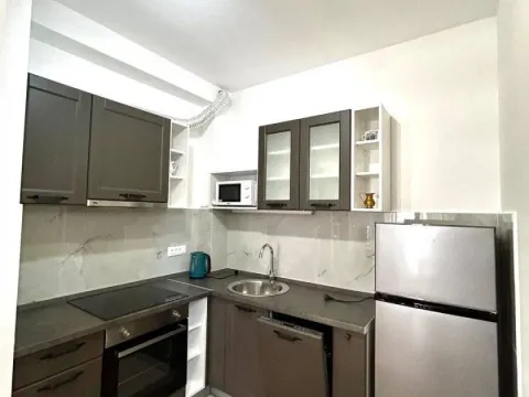 Rent, one bedroom apartment, 48m², Rozino, Budva - image 3