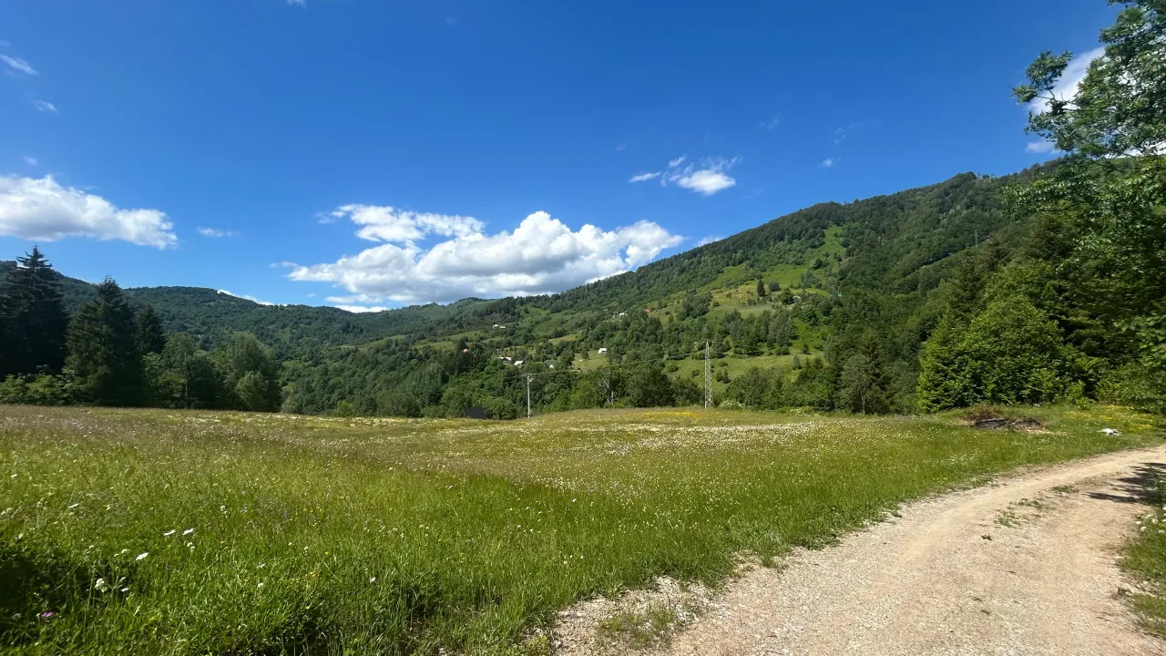 Sale, land lot, 62500m², Bare, Kolašin