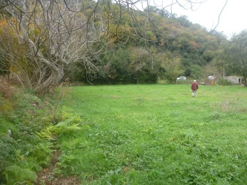 Prodaja, plac, 1915m², Zaljevo, Bar