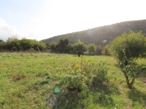 Prodaja, plac, 1700m², Tomba, Bar - image 2