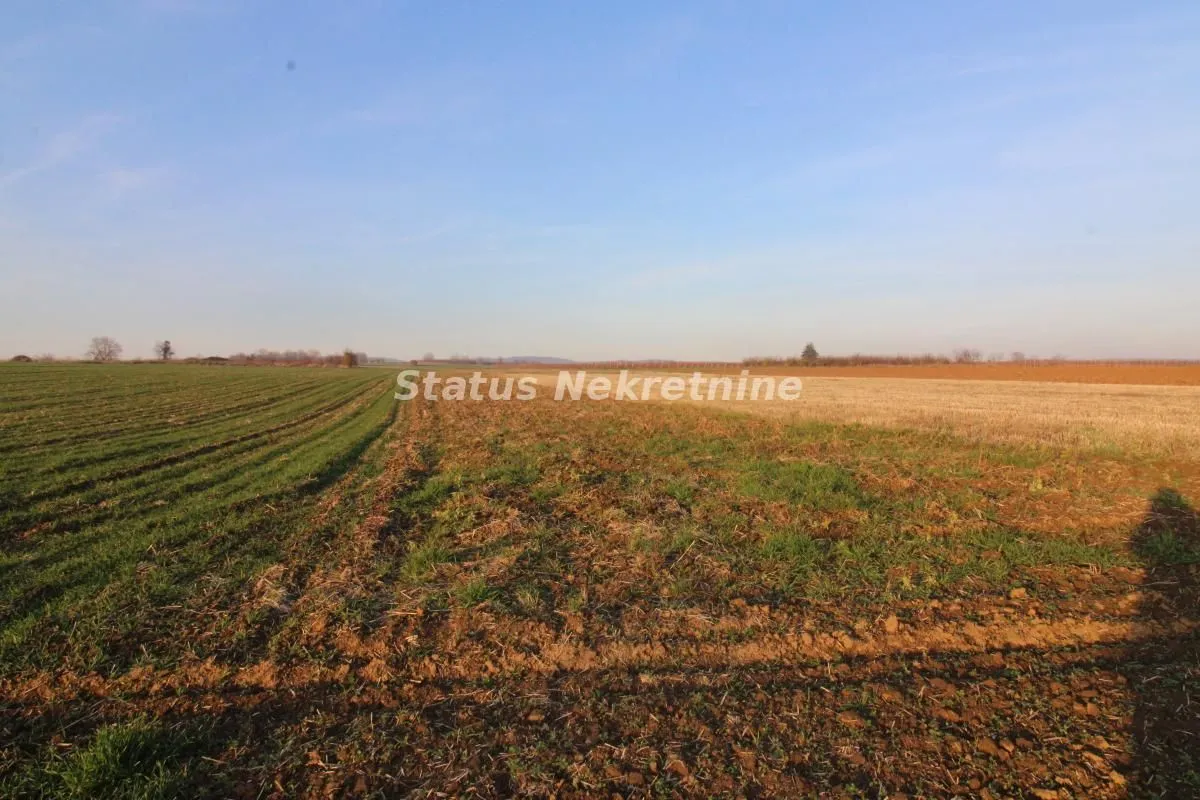 Sale, land lot, 7700m², Irig, Srbija