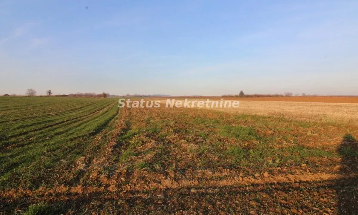 Sale, land lot, 7700m², Irig, Srbija