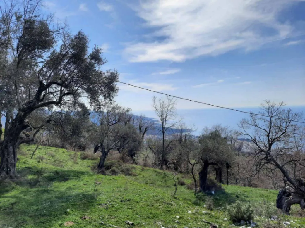 Prodaja, plac, 2600m², Dobre Vode, Bar