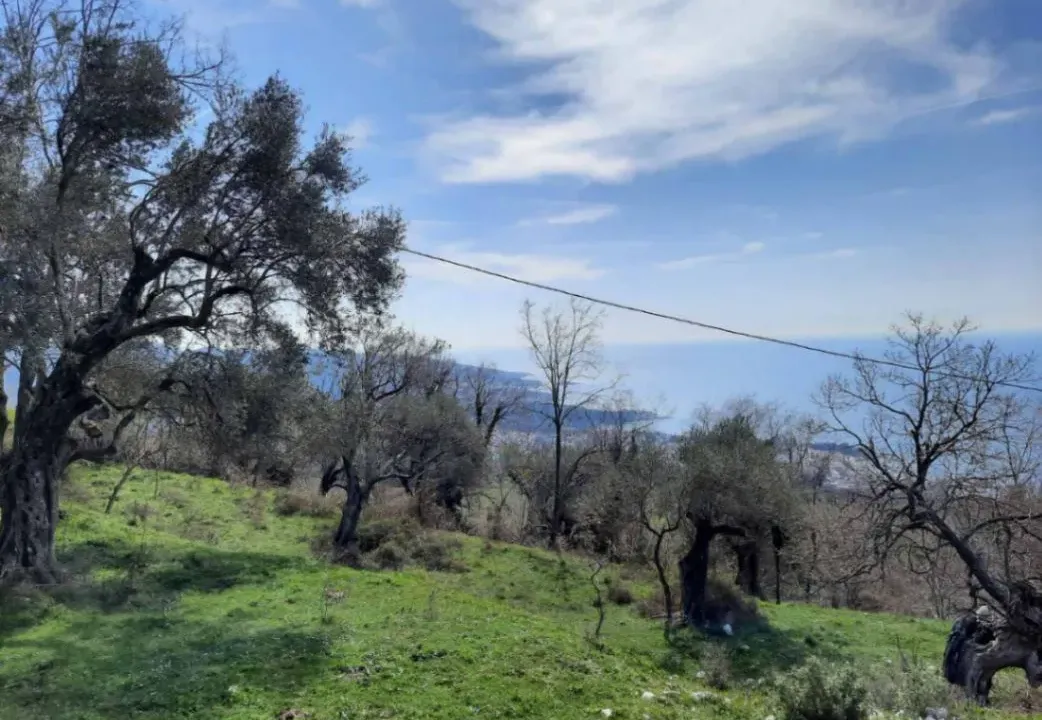 Sale, land lot, 2600m², Dobre Vode, Bar