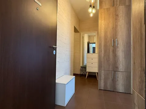Prodaja, jednosoban stan, 48m², Zabjelo, Podgorica - image 7