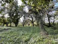 Sale, land lot, 3m², Kavač, Kotor - image 3