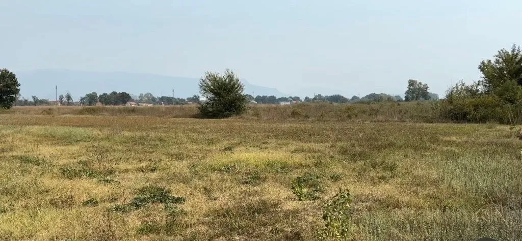 Pogled na ravno zemljište sa rastinjem i udaljenim brdima.