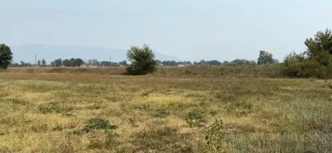 Pogled na ravno zemljište sa rastinjem i udaljenim brdima. - image 3