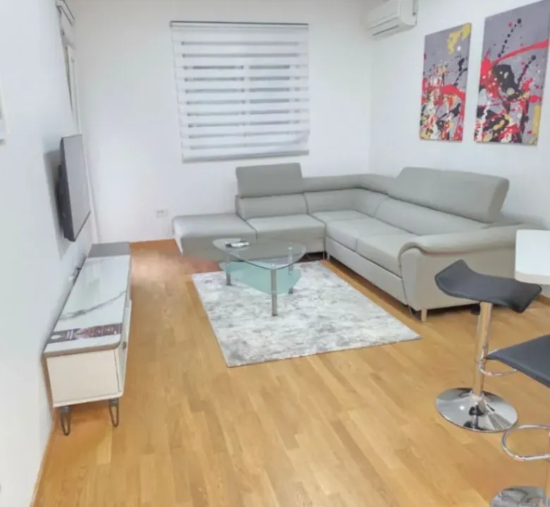 Izdavanje, jednosoban stan, 47m², Stari Aerodrom, Podgorica