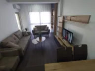 Izdavanje, jednosoban stan, 46m², Vezirov Most, Podgorica - image 8