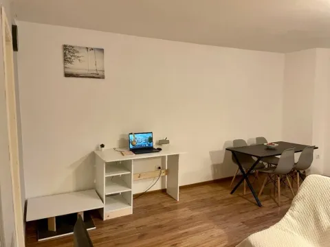 Izdavanje, dvosoban stan, 50m², Centar, Podgorica - image 4