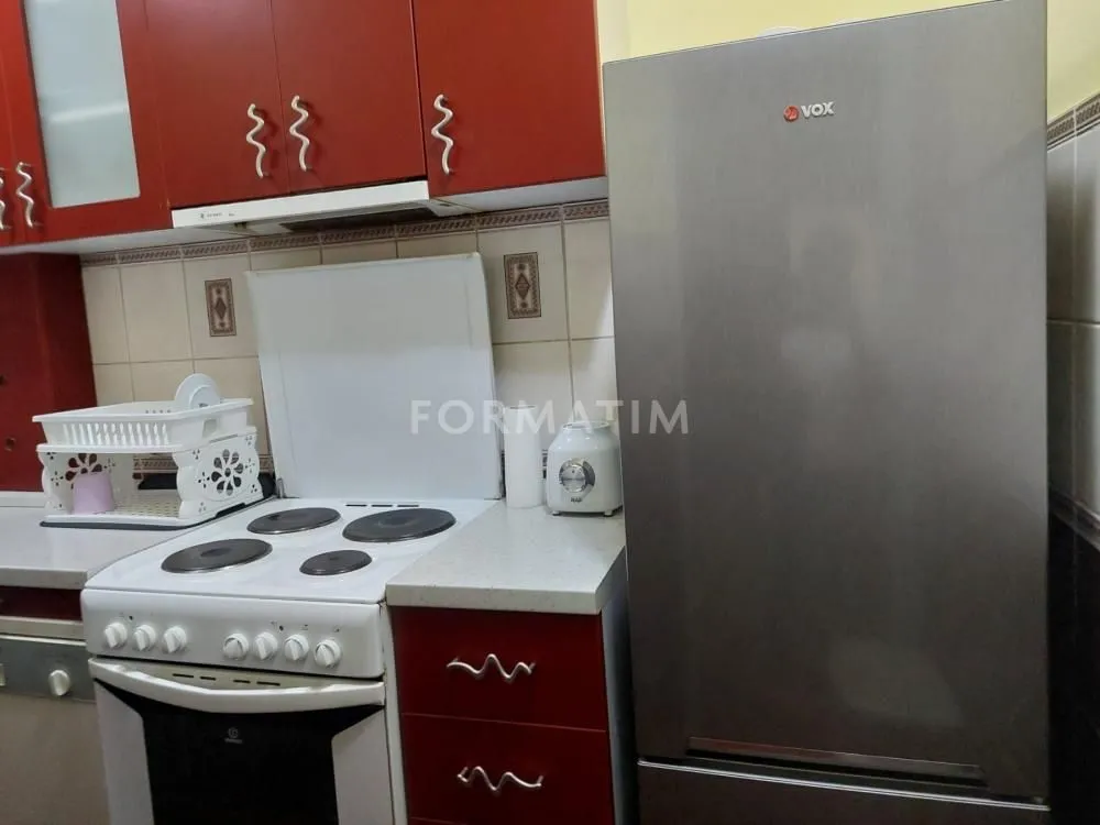 Izdavanje, dvosoban stan, 50m², Novi Beograd Blok 22, Novi Beograd Sve Podlokacije