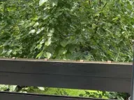 Izdavanje, kuća, 160m², Savski Venac, Beograd - image 8