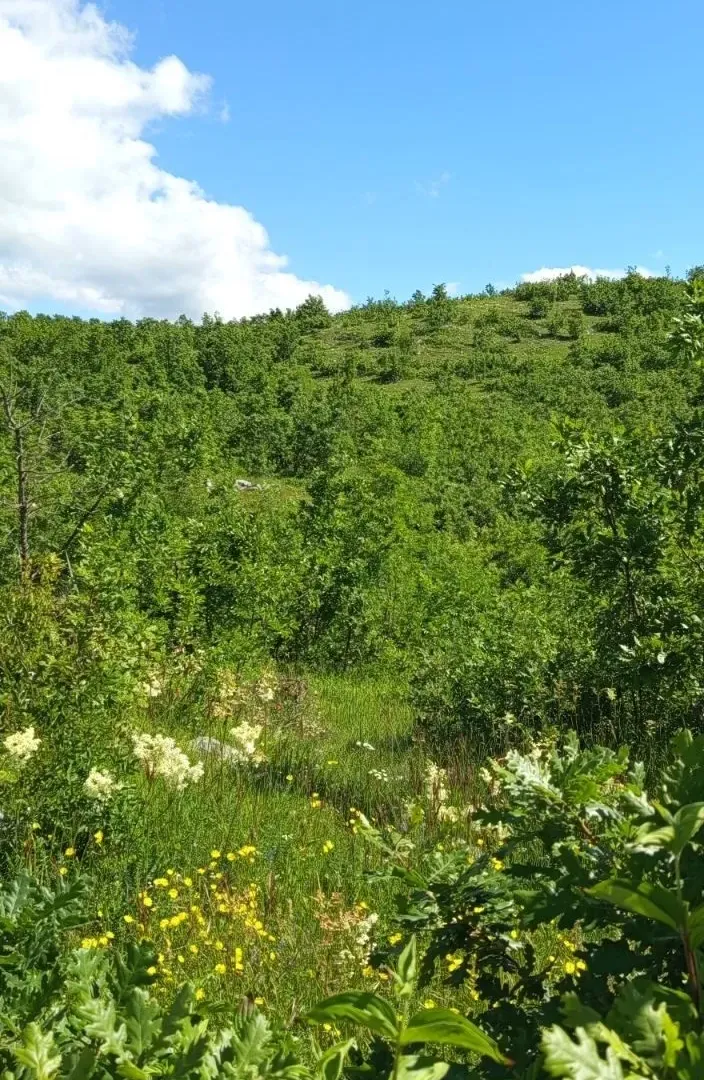 Prodaja, plac, 13400m², Nikšić, Crna Gora