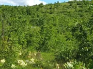 Prodaja, plac, 13400m², Nikšić, Crna Gora - image 2