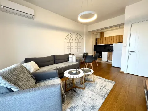 Rent, one bedroom apartment, 59m², Stara Varoš, Podgorica - image 2