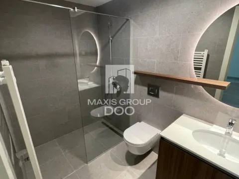 Izdavanje, poslovni prostor, 55m², Savski Venac, Beograd - image 11