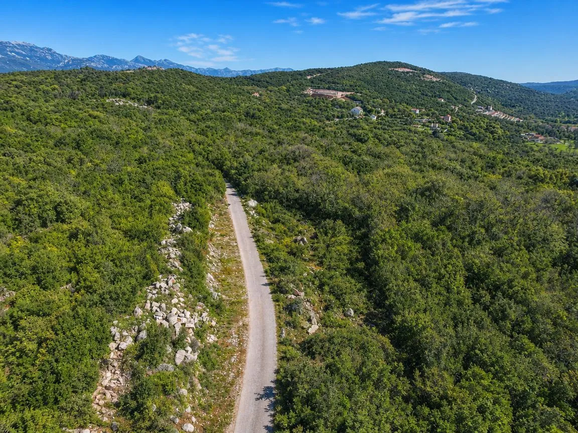 Pogled iz vazduha na šumoviti pejzaž sa putem koji vodi kroz prirodu.