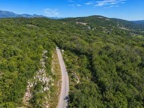 Pogled iz vazduha na šumoviti pejzaž sa putem koji vodi kroz prirodu. - image 6