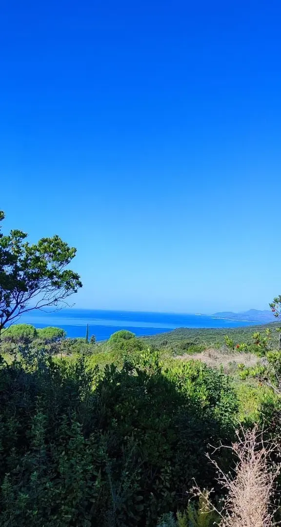 Prodaja, plac, 2500m², Zagora, Kotor