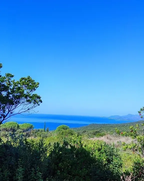 Prodaja, plac, 2500m², Zagora, Kotor