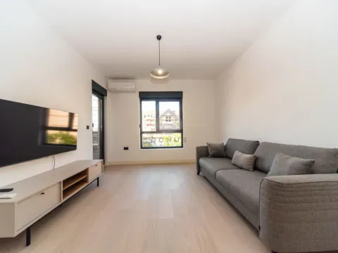 Izdavanje, jednosoban stan, 50m², Kruševac, Podgorica - image 2