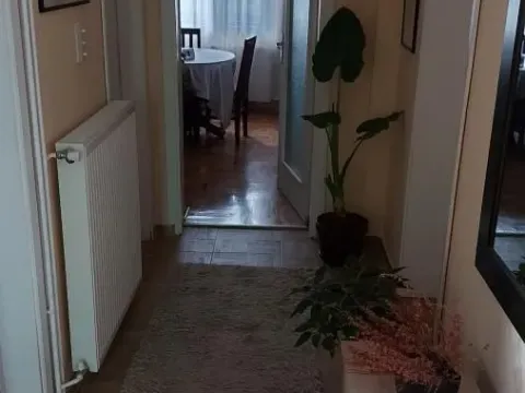 Sale, house, 190m², Petrovaradin, Novi Sad - image 23