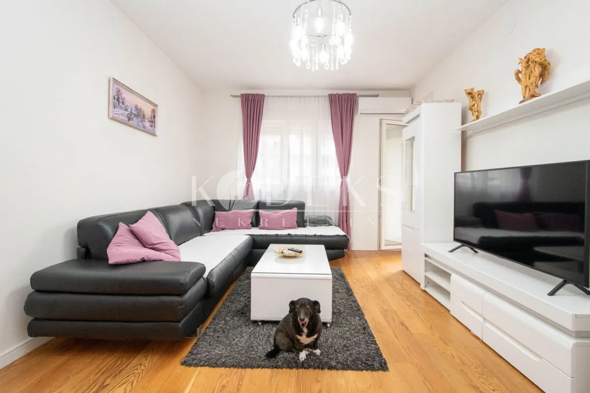 Izdavanje, jednosoban stan, 49m², Central Point, Podgorica