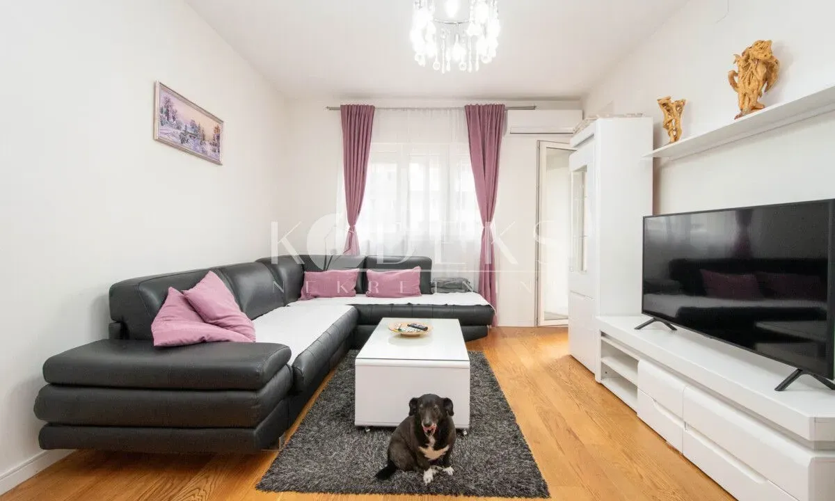 Izdavanje, jednosoban stan, 49m², Central Point, Podgorica