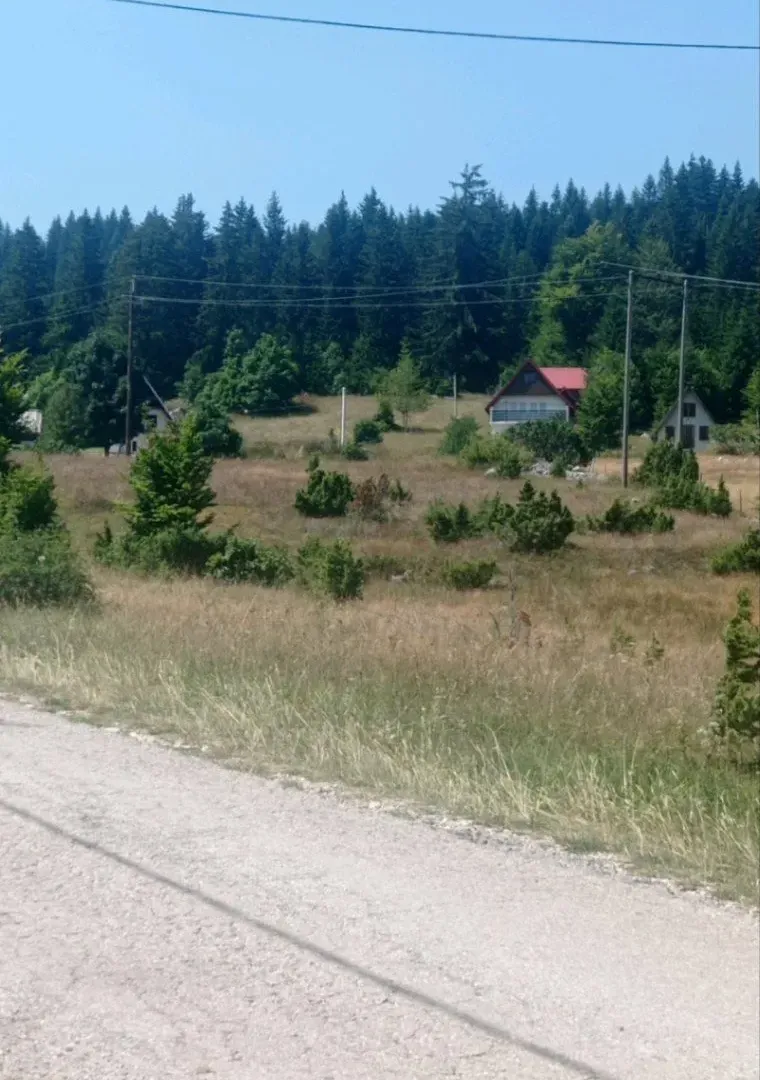 Prodaja, plac, 5937m², Razvršje, Žabljak