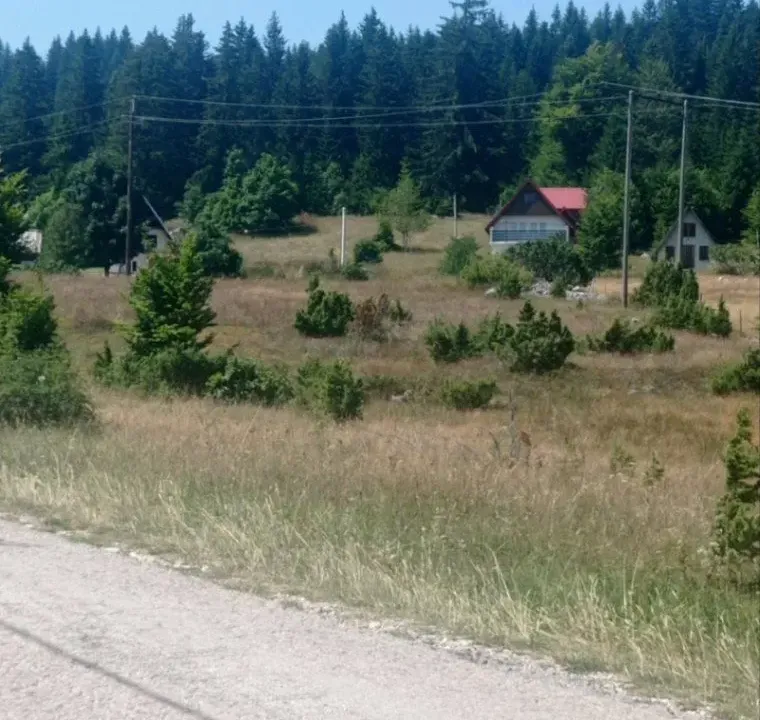 Prodaja, plac, 5937m², Razvršje, Žabljak