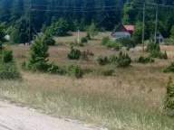 Prodaja, plac, 5937m², Razvršje, Žabljak - image 1