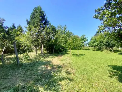 Sale, land lot, 1500m², Bocke, Petrovaradin - image 2